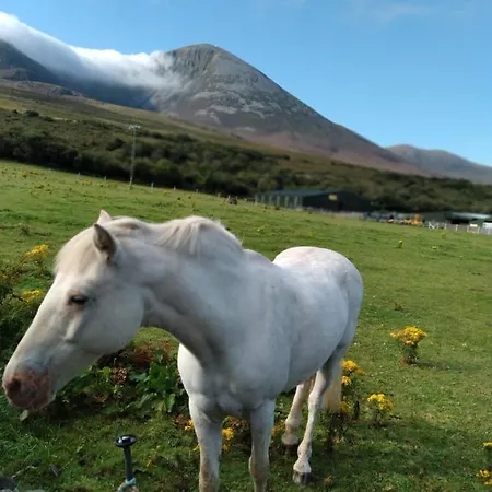 Elmgrove , Croagh Patrick