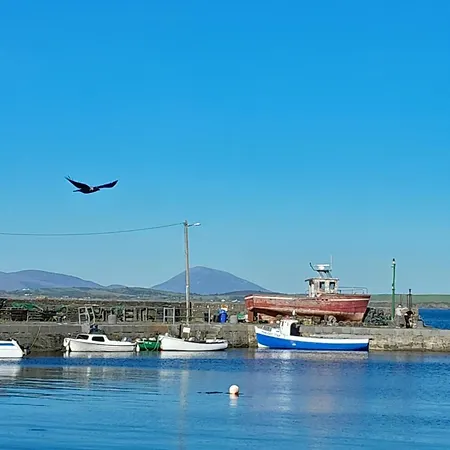 Elmgrove , Croagh Patrick * Westport