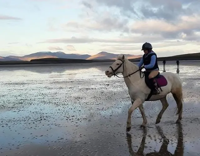 Elmgrove , Croagh Patrick * Westport
