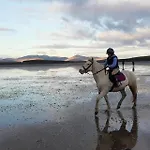 Elmgrove , Croagh Patrick * Westport