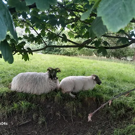 Apartmán Elmgrove , Croagh Patrick,