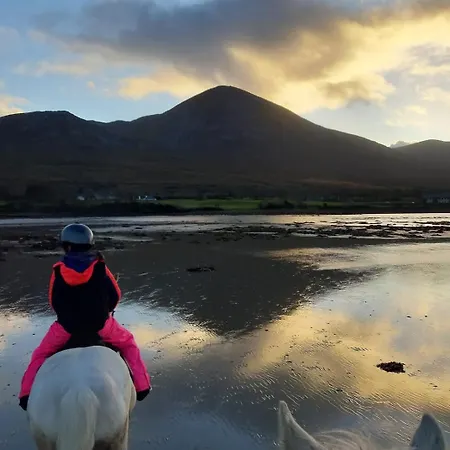 Elmgrove , Croagh Patrick Вэстпорт