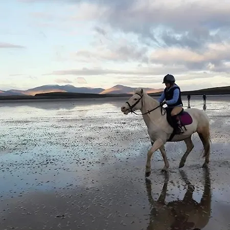 Elmgrove , Croagh Patrick, * Westport