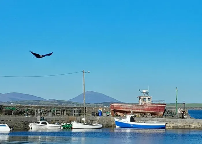 Elmgrove , Croagh Patrick * Westport