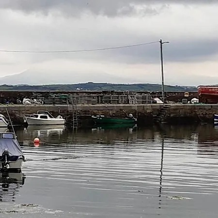 Elmgrove , Croagh Patrick *