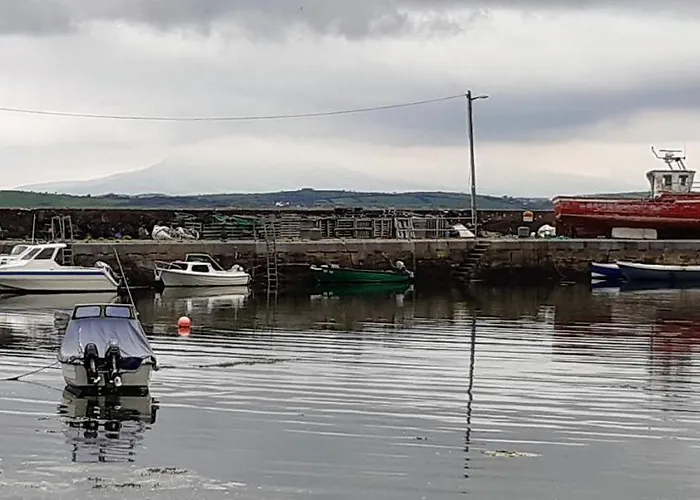 Elmgrove , Croagh Patrick *