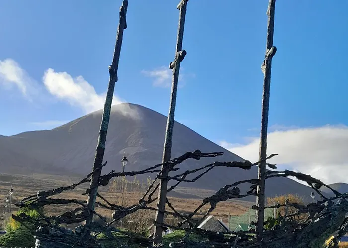 Elmgrove , Croagh Patrick Westport