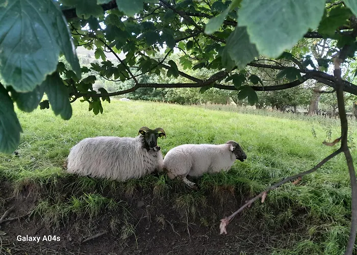 Apartment Elmgrove , Croagh Patrick